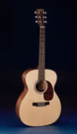 Martin guitar